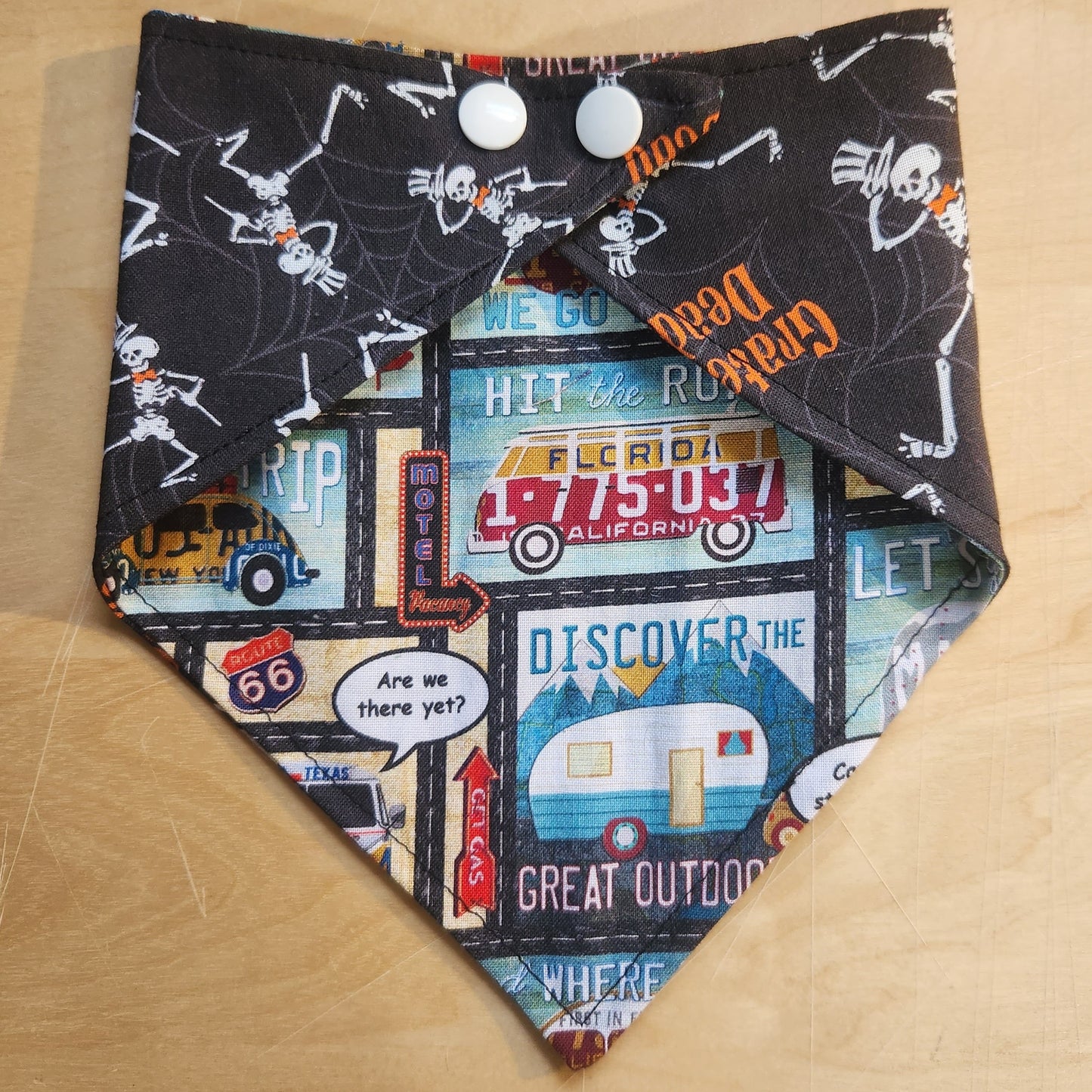 Grateful Dead/Road Trip Reversible Dog Bandana