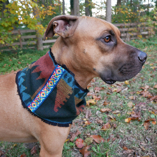 The Emerald Sunset Dog Infinity Scarf - Trim 2