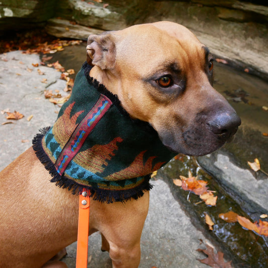 The Emerald Sunset Dog Infinity Scarf - Trim 3