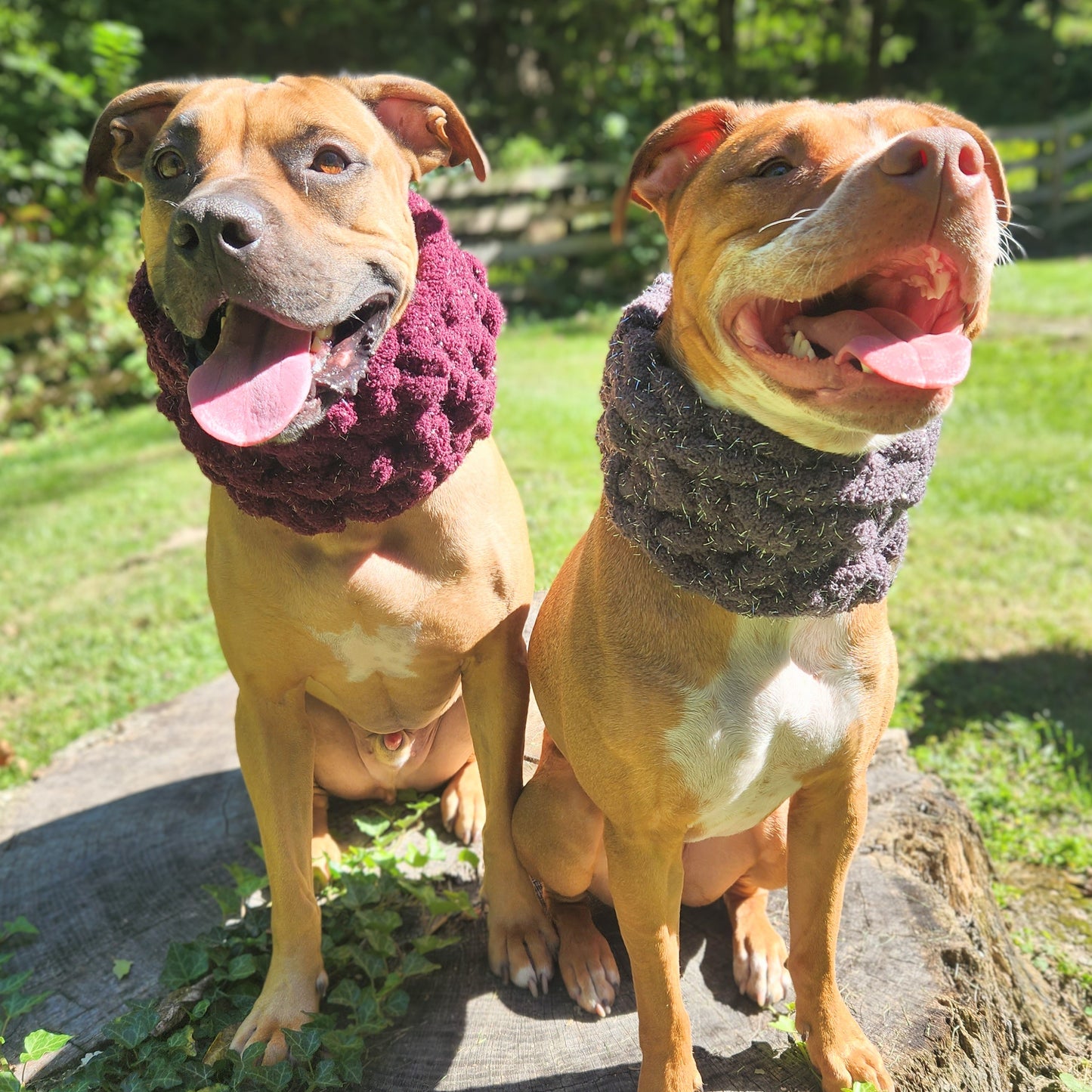 Sparkle Puff | Dog Cowl