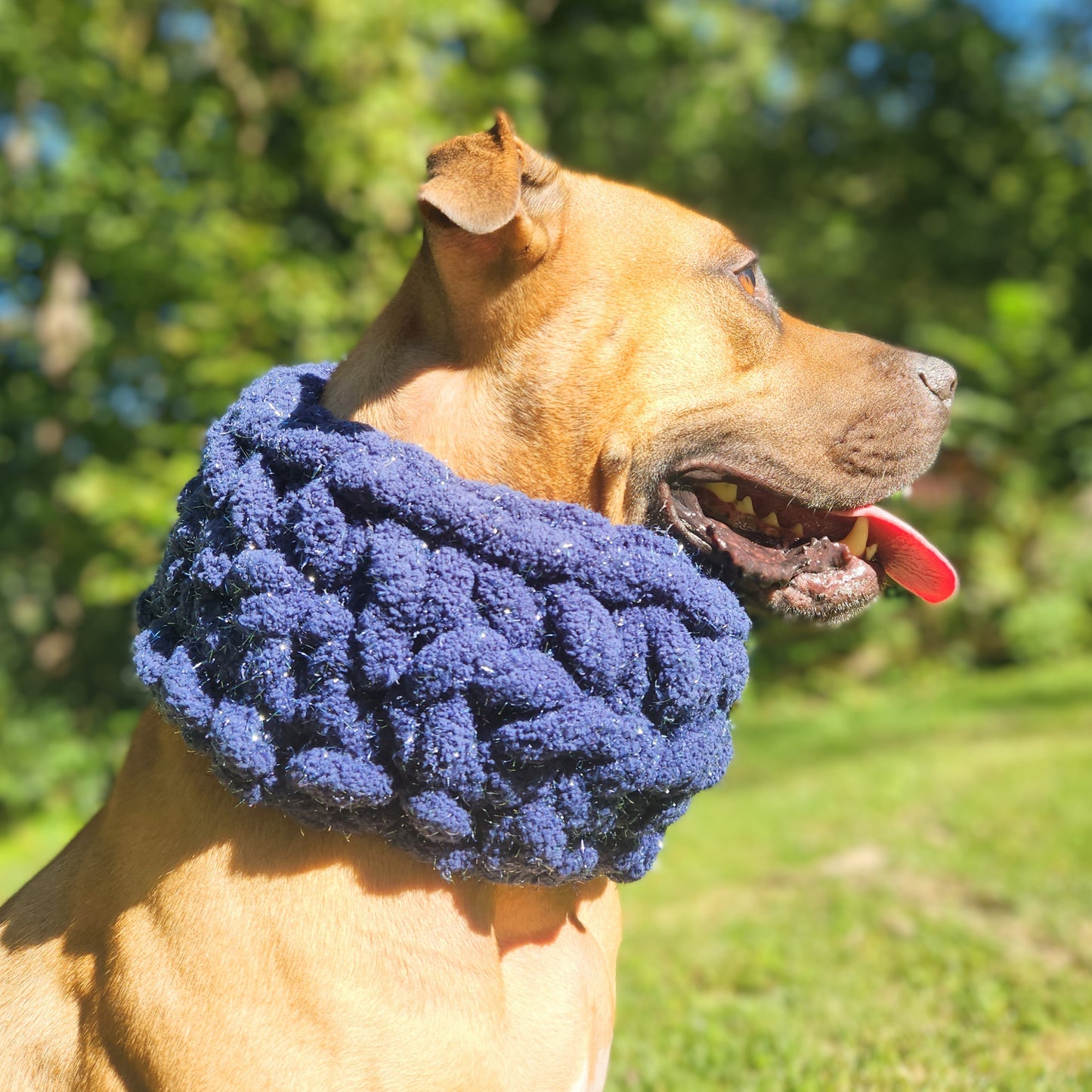 Sparkle Puff | Dog Cowl