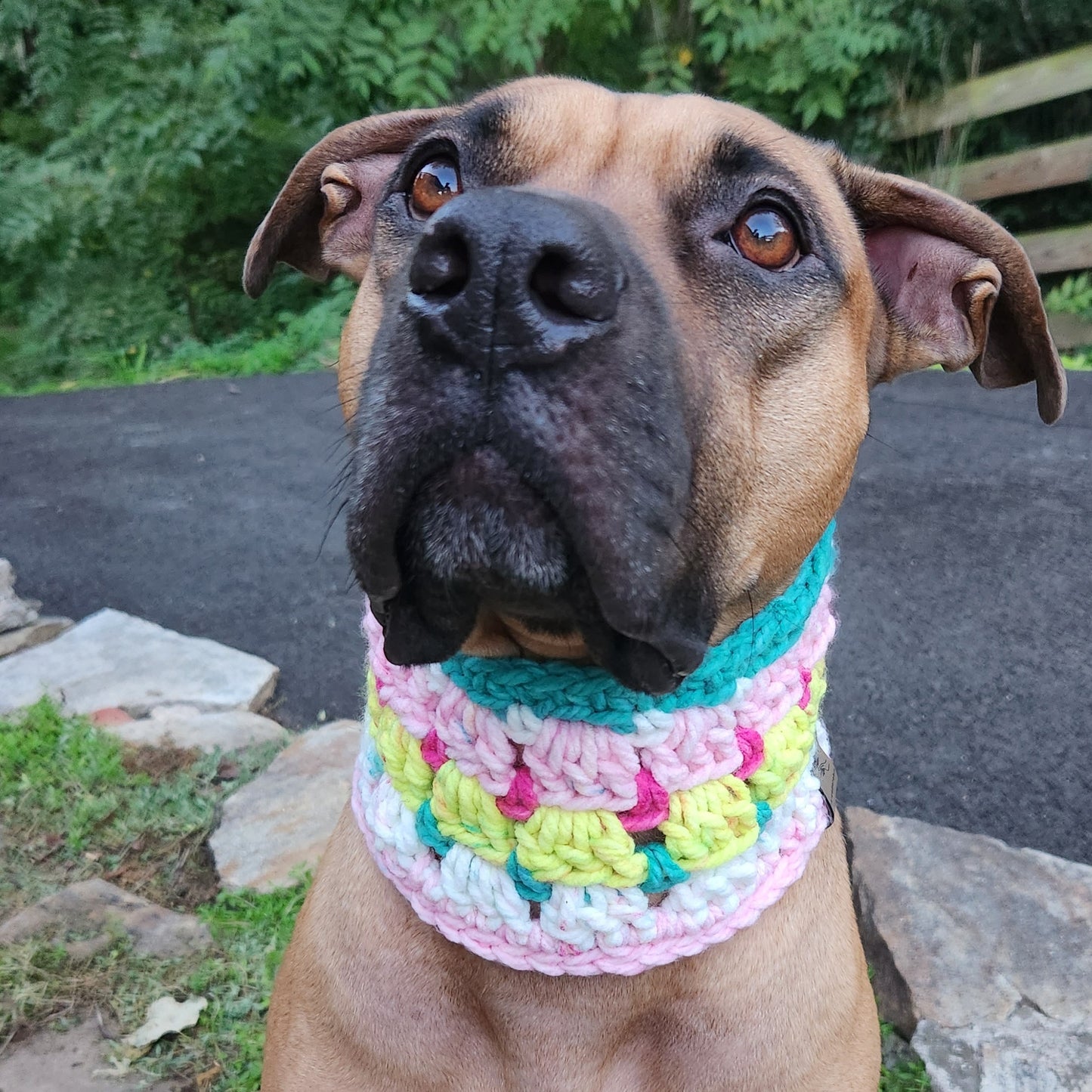 Marshmallow Melon Dog Cowl