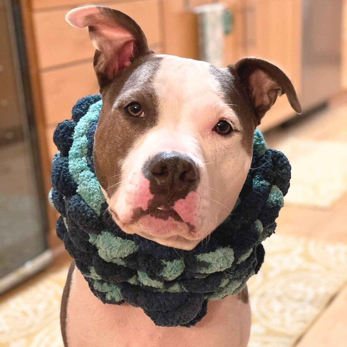 The Colossal | Dog Cowl