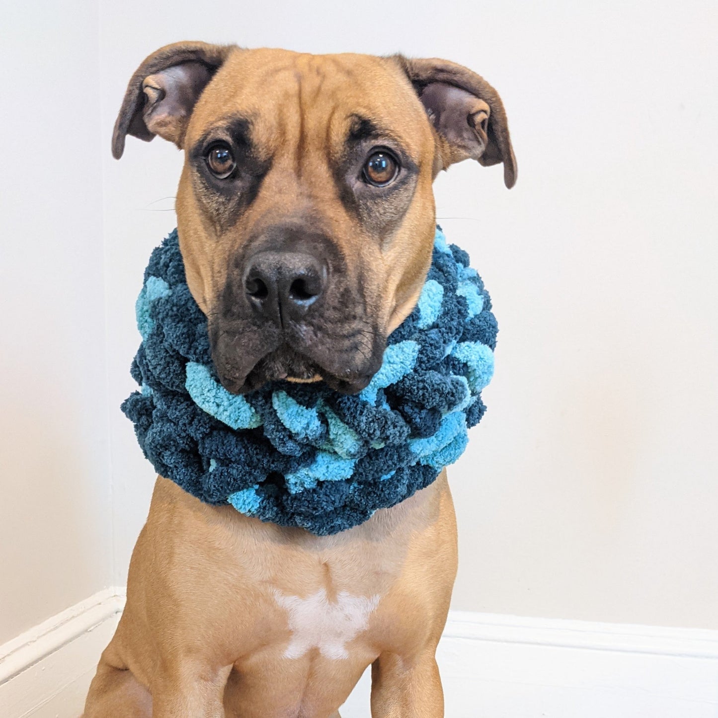 The Colossal | Dog Cowl