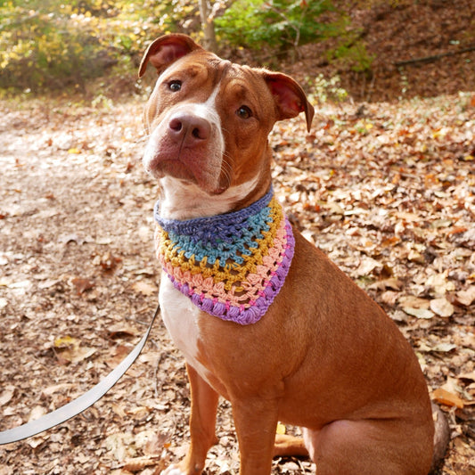 The Cottony Crochet Bandana