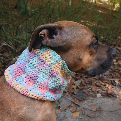 The Harlequin Cowl