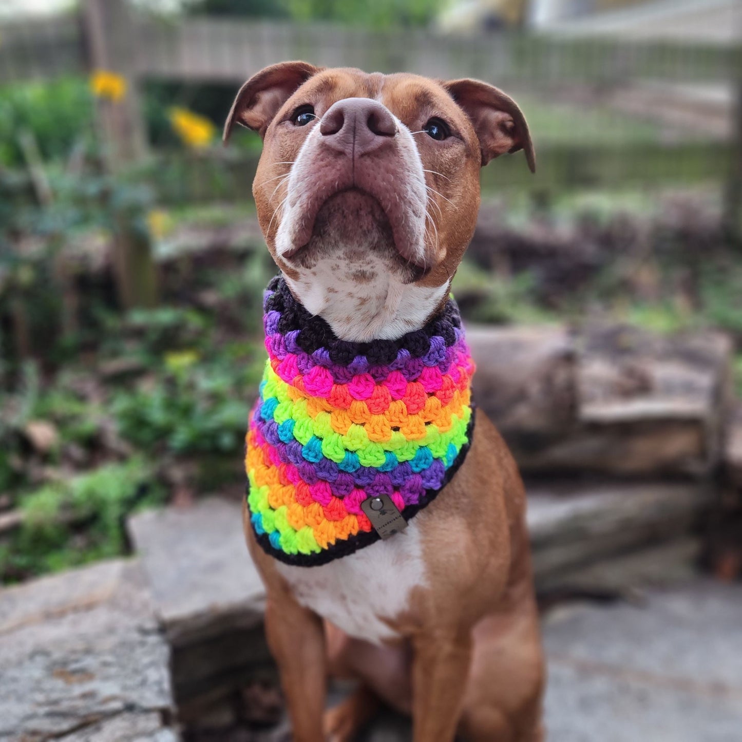 Neon Stripe Bandana