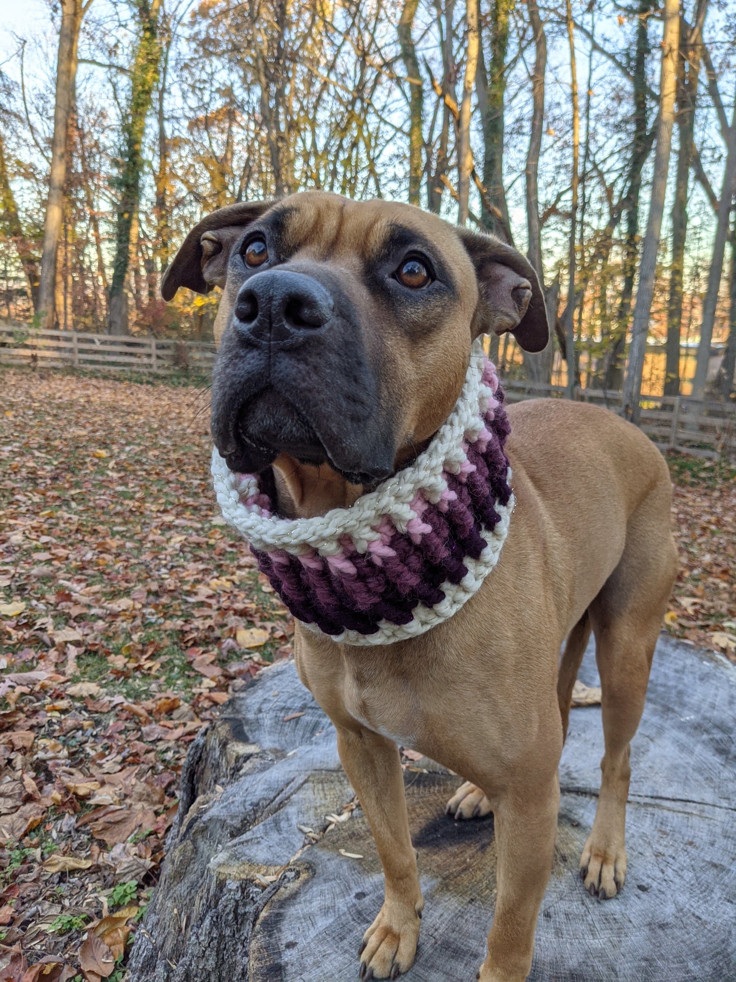 The Ripple Cowl - Sugarplum