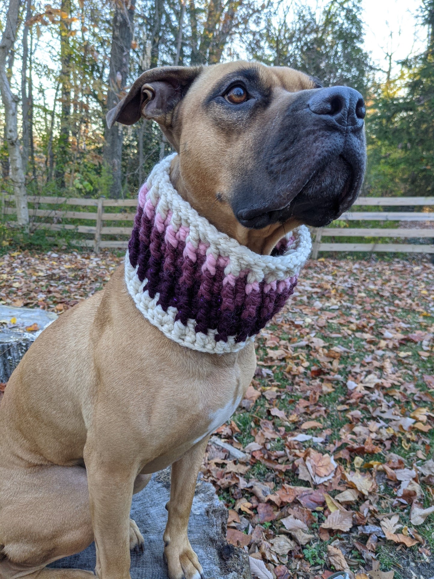 The Ripple Cowl - Sugarplum